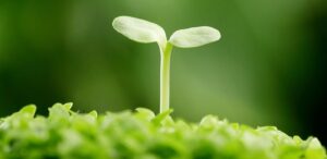 1 16563993660121950446698