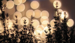 co dang hay khong e1690786212727