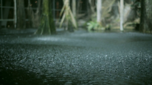 hinh anh troi mua to dep 015502187