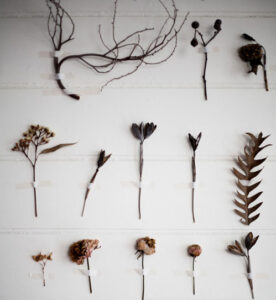 nhung canh hoa tren tuong e1690784226317