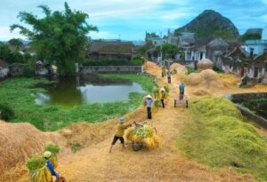 que huong that thanh binh 1