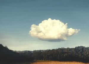 2b8c5e1549742dd59984a6e2e16a5ffc 1 e1691480135343