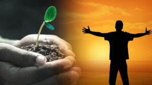 bai hoc cuoc song hay y nghia truyen ngan hay