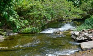 dong song va noi nho e1690966813471