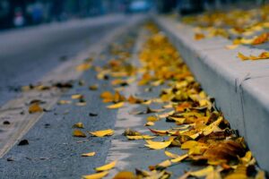 hinh anh la mua thu dep 043603103