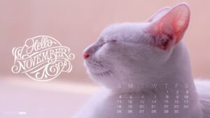 hinh nen thang 11 5 min5bbc827f3be44