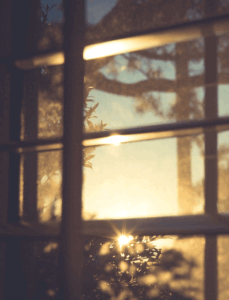 luon o ben canh e1690882625570