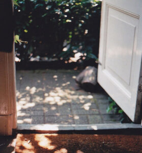 nhung ngay gan het nam e1691052407855