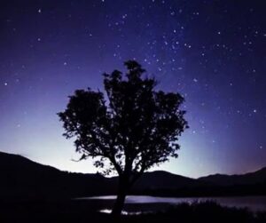 tam su nhung anh sao dem 650x412 1 e1691822249447