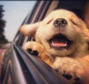 viet cho nhan map e1691487195633