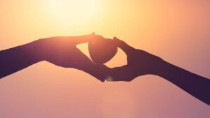 yeu thuong www.ngonluanho.net