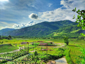 image ca viet nam chi co mot khu vuon bi mat ninh thuan chup sao cung co anh dep 168322157091922