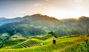 mu cang chai resize