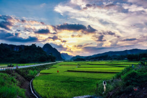 tho luc bat que huong