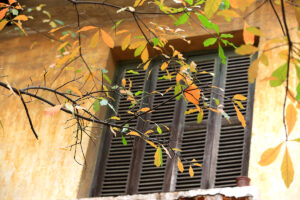 20220320234138 10038