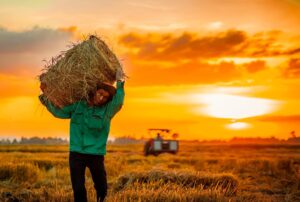 5128441 FD6F0019 7035 4D26 9127 0D1CB2BB49E5