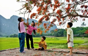 NHỮNG MÙA HÈ XANH